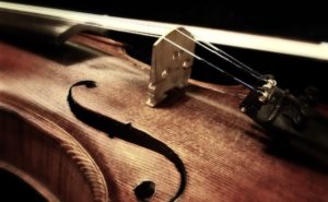A close up of a violin
